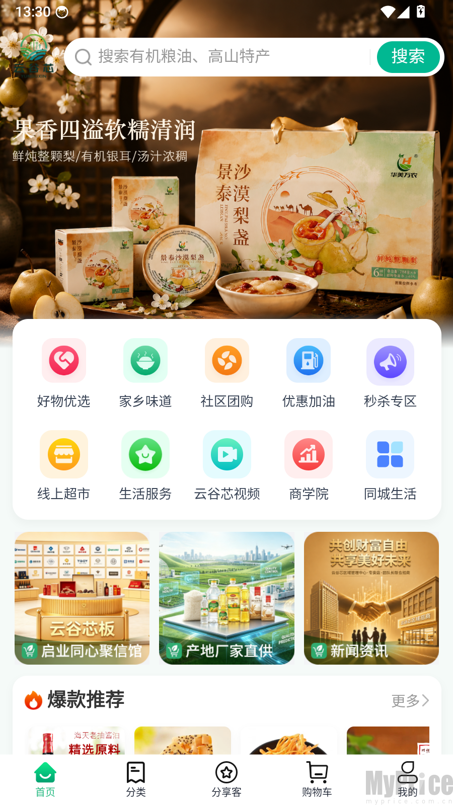 云谷芯app首页底部我的入口截图
