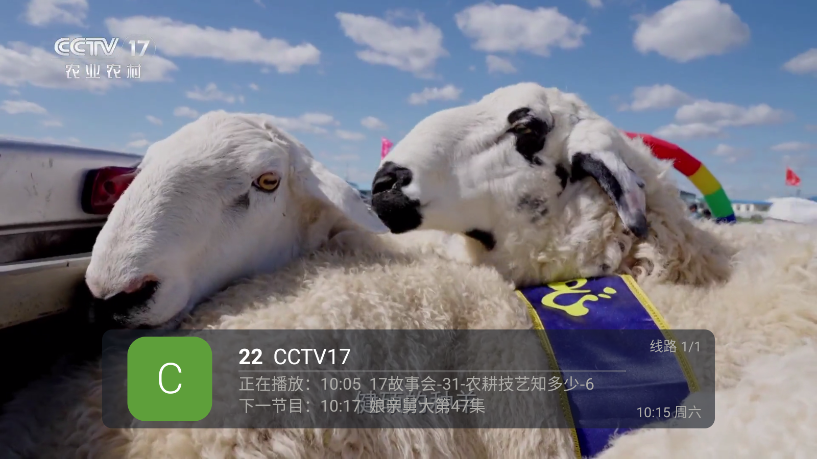 蚂蚁直播TV