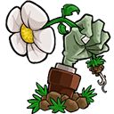 植物大战僵尸转基因版2.2.6