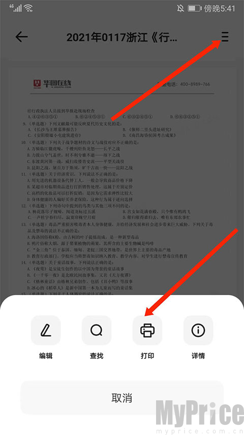 PDF打印功能选择界面