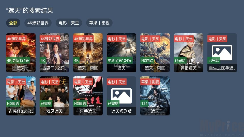 视界4K顶部搜索功能操作页面
