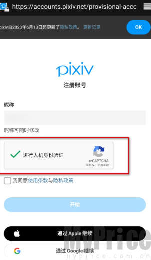 pixiv昵称与人机验证页面