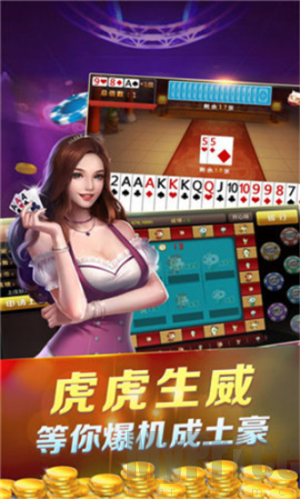 一道娱乐2026