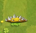 植物大战僵尸转基因版2.2.6