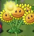 植物大战僵尸转基因版2.2.6