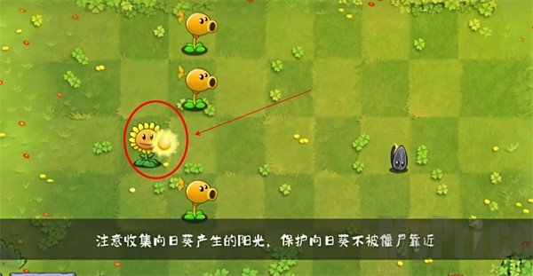 植物大战僵尸转基因版向日葵产出阳光演示