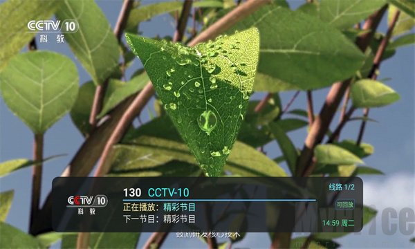 默认频道播放界面