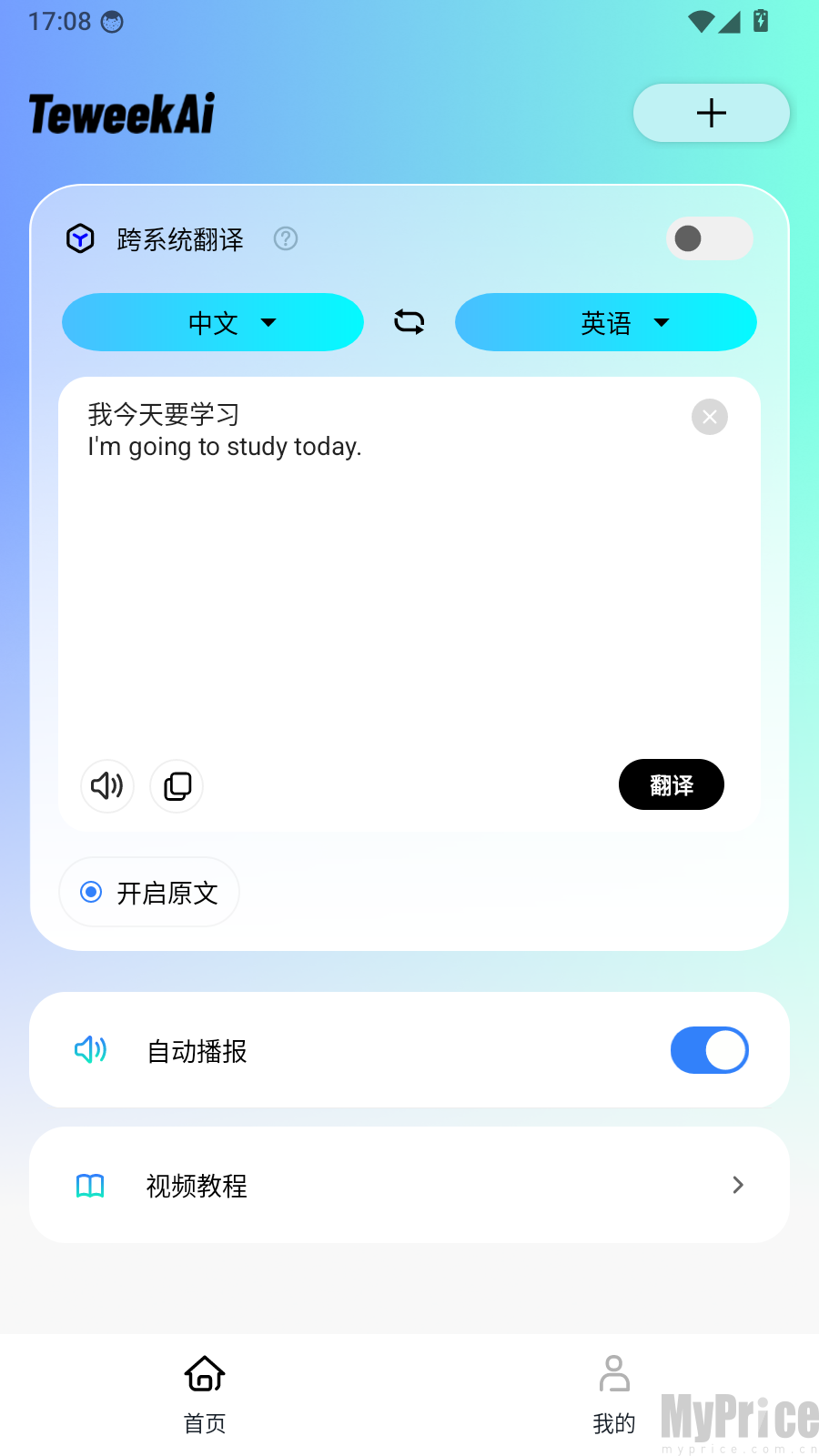 翻译结果展示页面