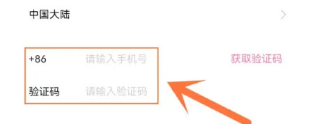 输入新手机号验证界面