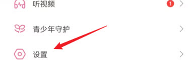 安全隐私设置入口界面