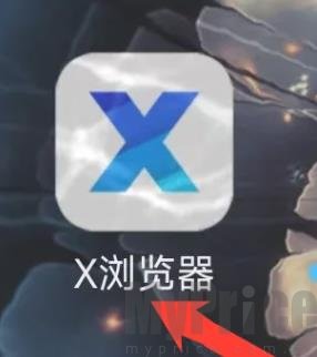 X浏览器图标打开界面