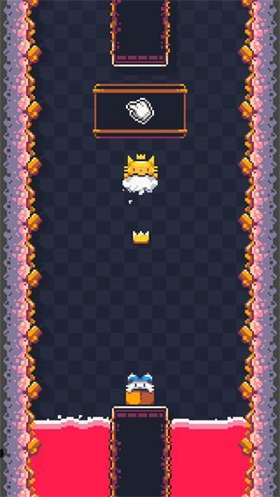 猫猫冲撞