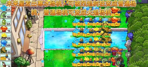 植物大战僵尸精华版-社区版
