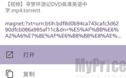 云播功能粘贴链接页面