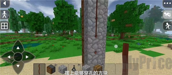 活塞背部穿孔方块布置