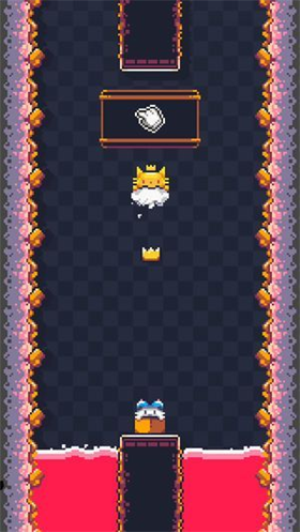猫猫冲撞