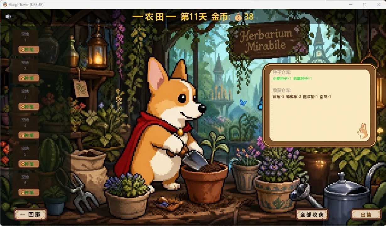 柯基塔