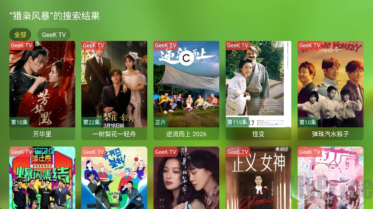 Geek TV怎么使用