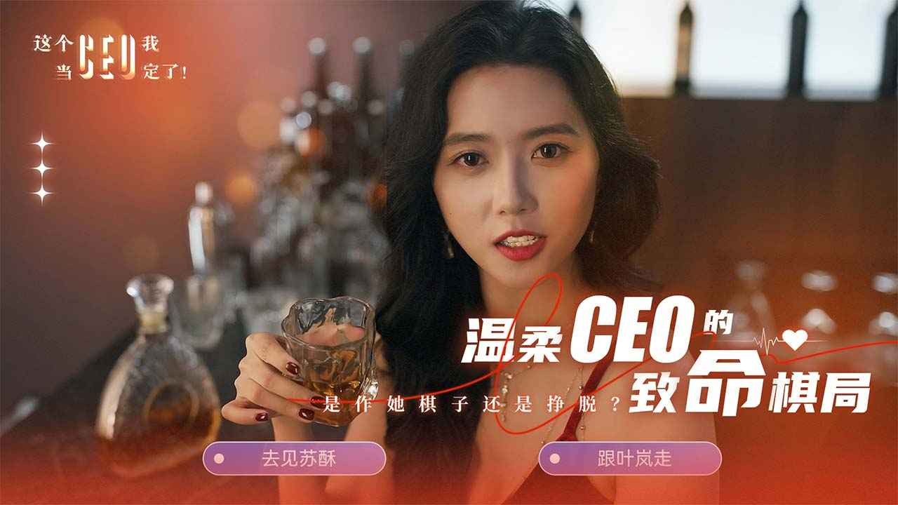 这个CEO我当定了