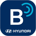 Bluelink