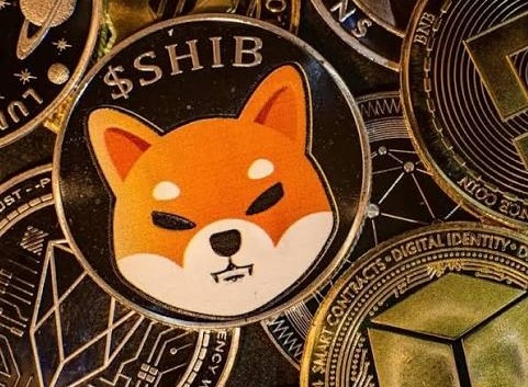 柴犬币是什么？ 柴犬币简单介绍