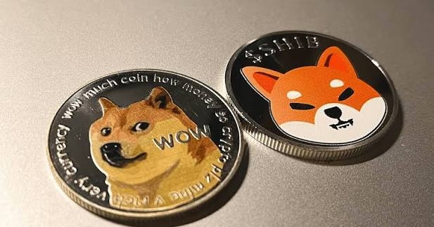 柴犬币和狗狗币区别 柴犬币和狗狗币哪个好