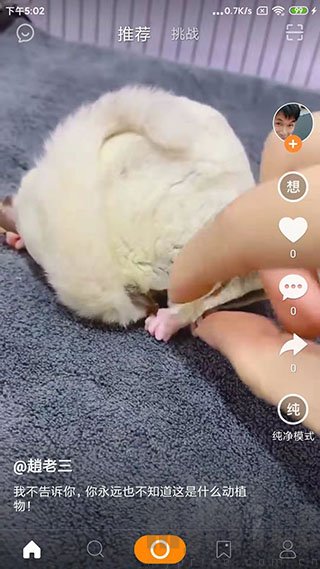 高手短视频首页浏览界面