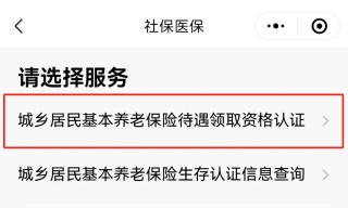 广东政务服务网App城乡居民养老资格认证