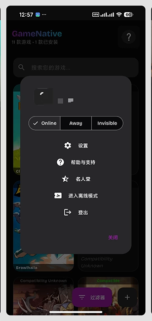 GameNative中文版游戏详情
