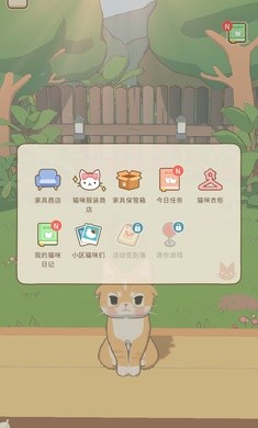 窗外猫