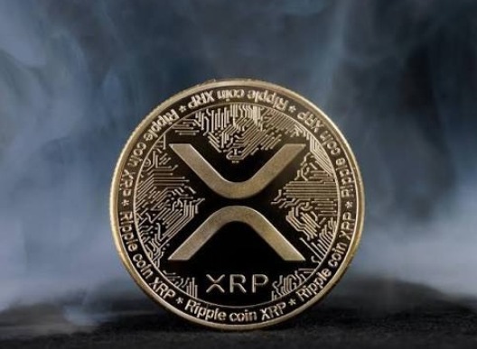 ripple官方最新消息 ripple资讯一览