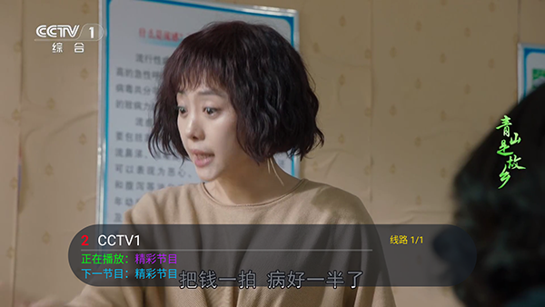看了么电视版