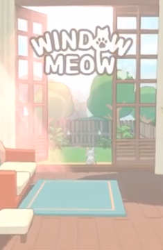 窗外猫
