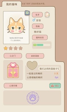 窗外猫