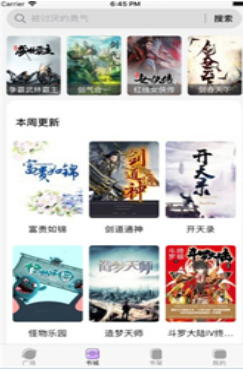 紫苏阅读小说