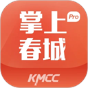 掌上春城