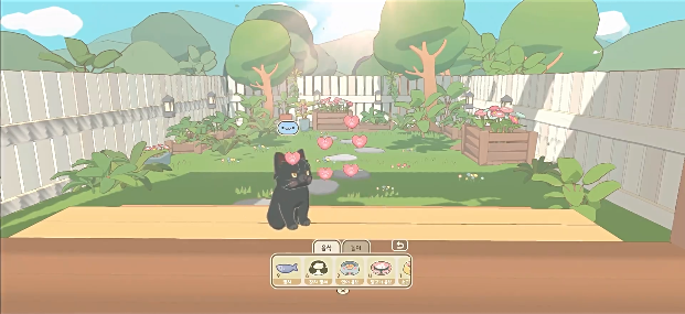 窗外猫