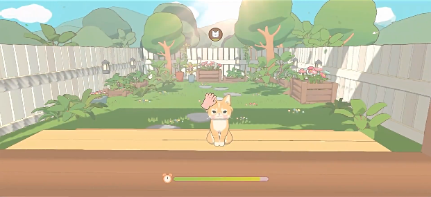 窗外猫
