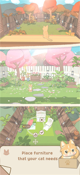 窗外猫