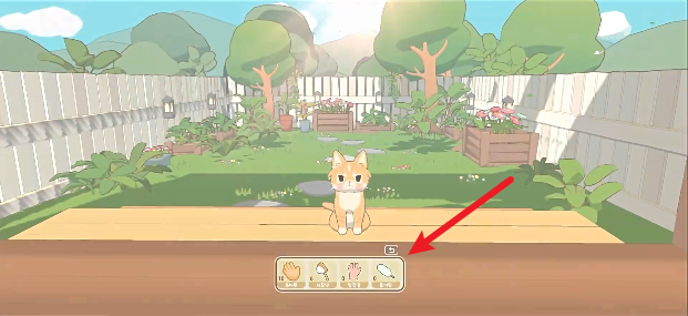 窗外猫