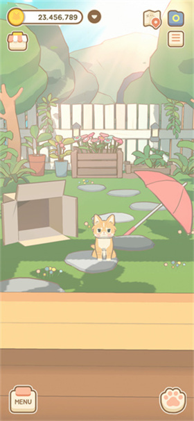 窗外猫