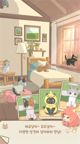 窗外猫