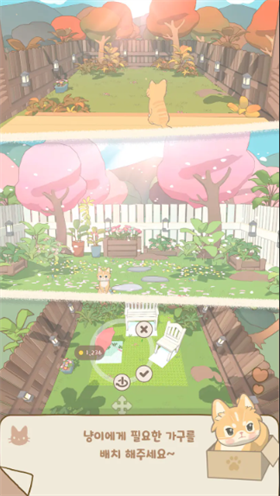 窗外猫