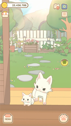 窗外猫