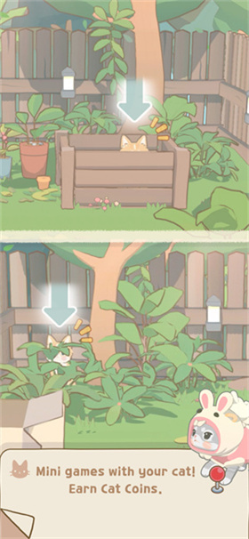 窗外猫