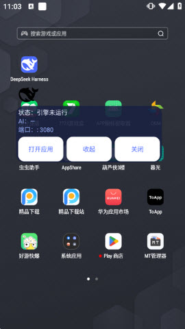 DeepSeek Harness兼容版操作步骤截图